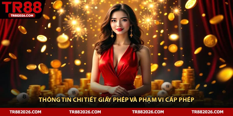 Thông tin chi tiết giấy phép và phạm vi cấp phép